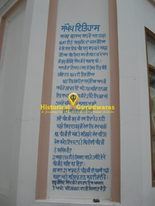 गुरुद्वारा श्री जन्म अस्थान पीर बुद्धू शाह जी, सढौरा — दृश्य 2