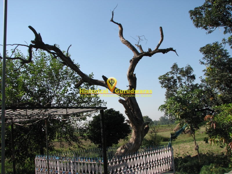 गुरुद्वारा श्री जंड साहिब, लहली कलां — दृश्य 4