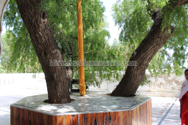 गुरुद्वारा श्री थेड़ी साहिब, थेड़ी — दृश्य 4